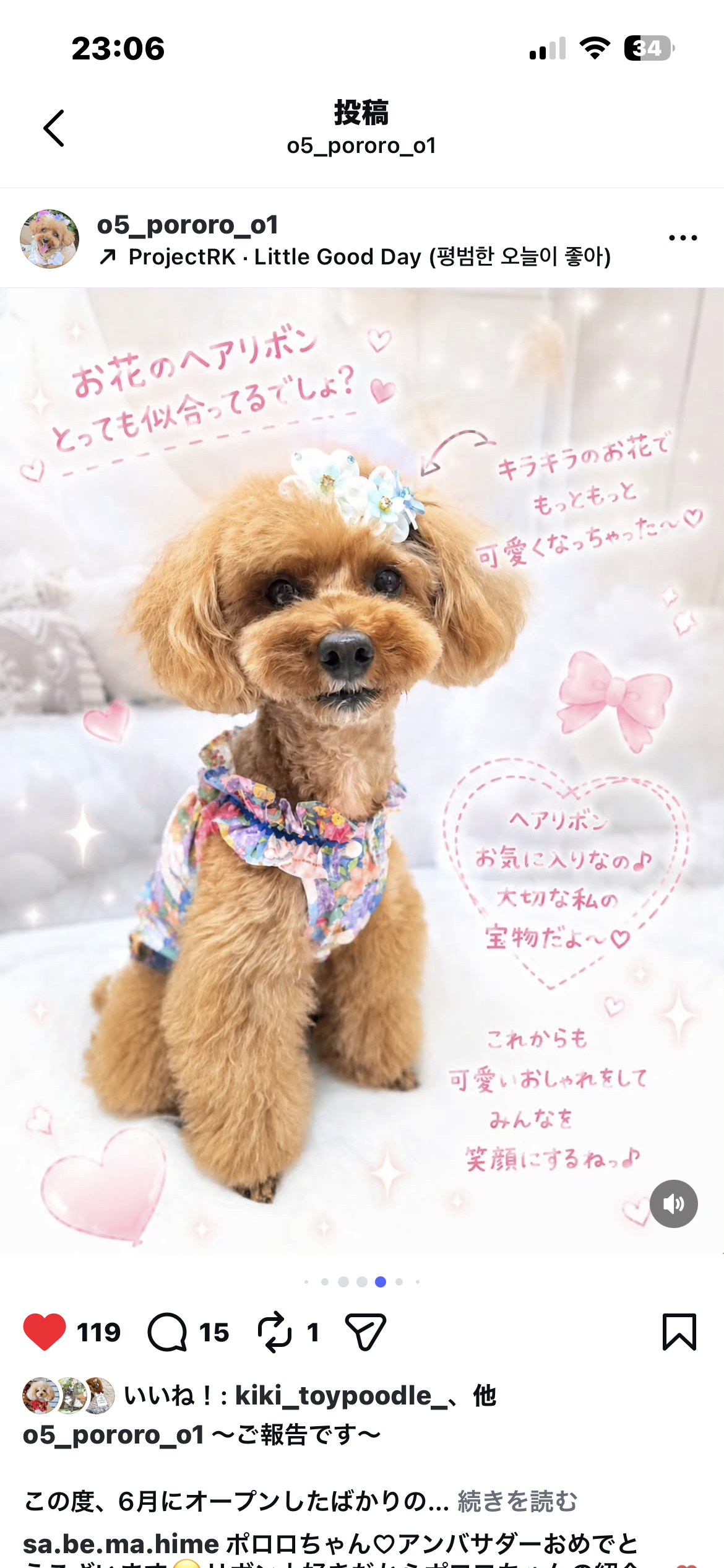 🧚Fairy Blossom Collection(妖精のお花シリーズ) プラバレッタ