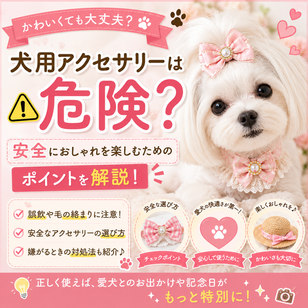犬用アクセサリーは危険？｜安全におしゃれを楽しむためのポイントを解説💭
