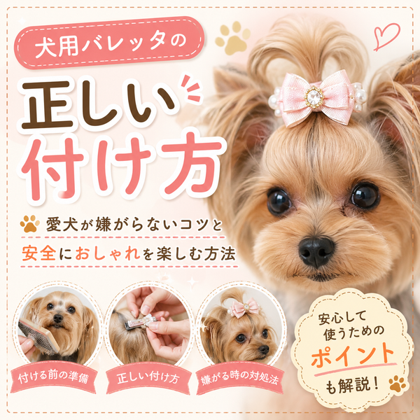 犬用バレッタの正しい付け方｜愛犬が嫌がらないコツと安全におしゃれを楽しむ方法🎀