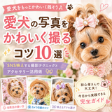 愛犬の写真をかわいく撮るコツ10選｜SNS映えする撮影テクニックとアクセサリー活用術📷