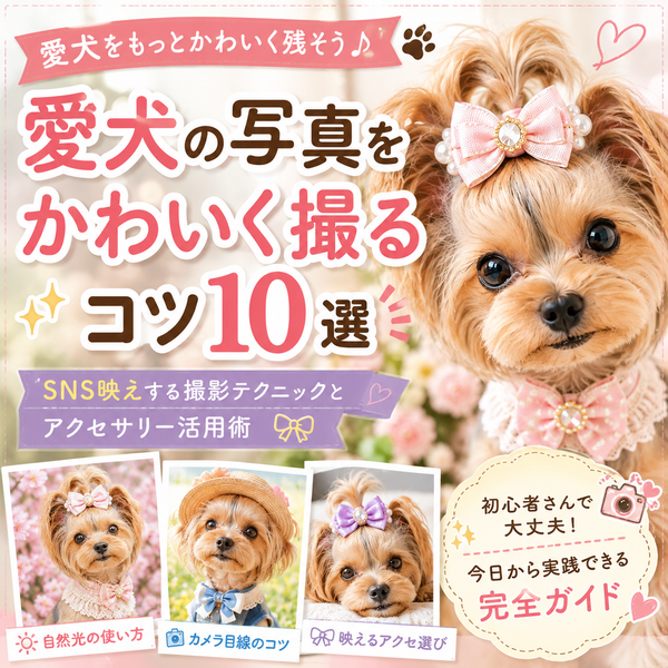愛犬の写真をかわいく撮るコツ10選｜SNS映えする撮影テクニックとアクセサリー活用術📷