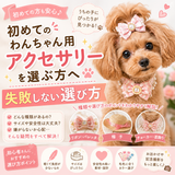 初めてわんちゃん用アクセサリーを選ぶ方へ｜失敗しない選び方とおすすめポイント💎