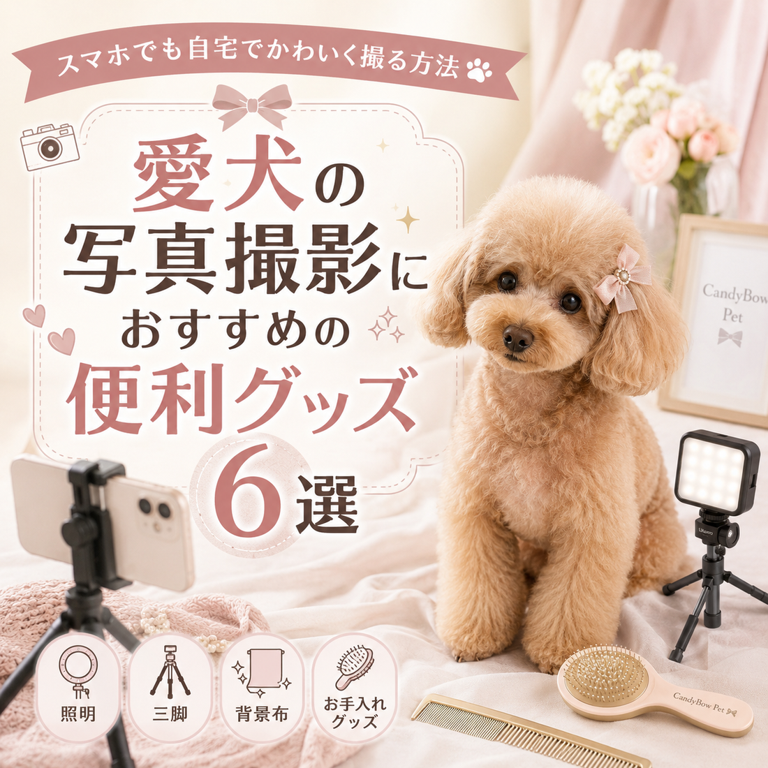 愛犬の写真撮影におすすめの便利グッズ6選｜スマホでも自宅でかわいく撮る方法
