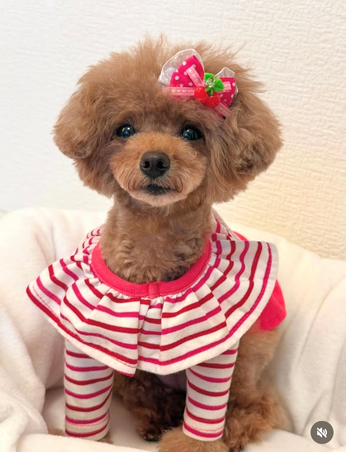 【CB260503】🍒 Cherry Pop Plastic Barrette