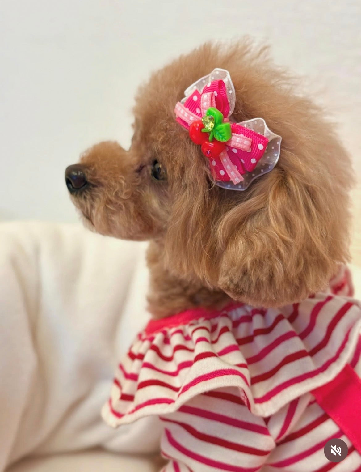 【CB260503】🍒 Cherry Pop Plastic Barrette