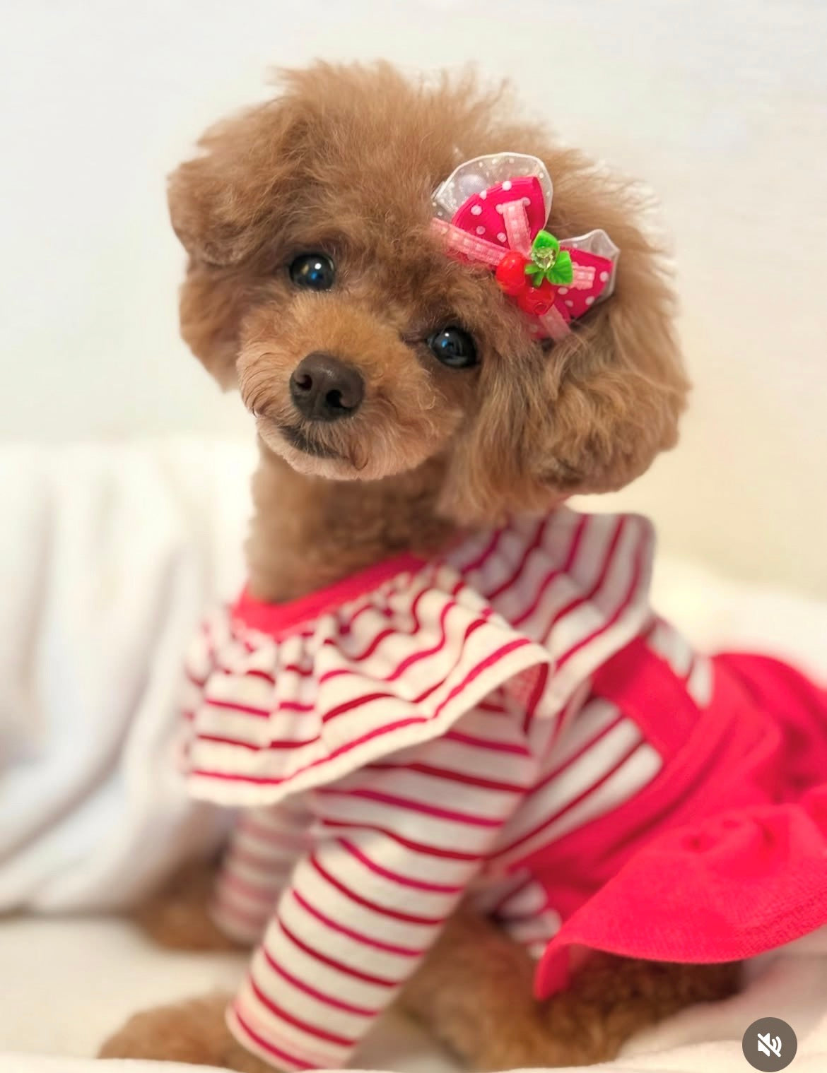 【CB260503】🍒 Cherry Pop Plastic Barrette