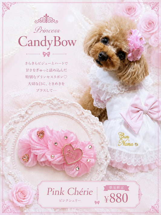 [CB260501] 💗 Pink Chérie Plastic Barrette