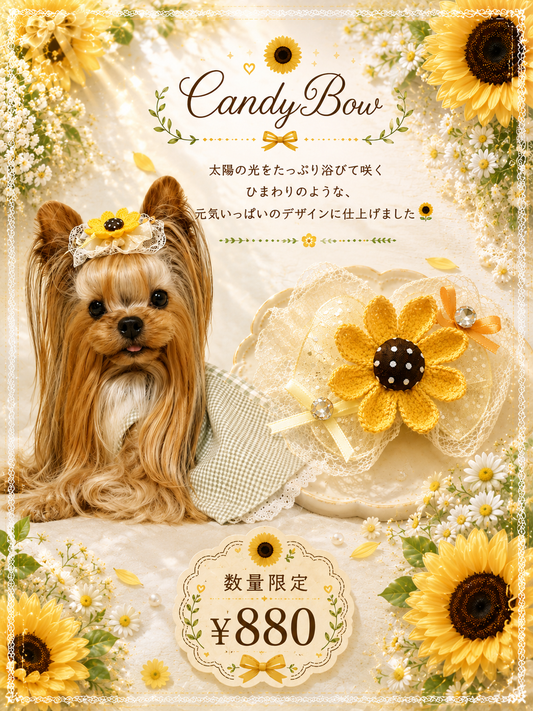 【CB260610】🌻 Sunny Bloom（サニーブルーム）プラバレッタ
