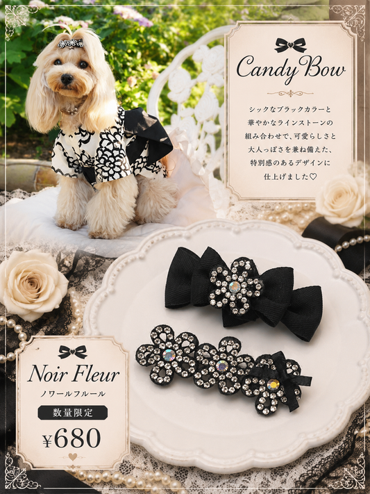 【CB260516】🖤 Noir Fleur Resin Barrette (2 Types)