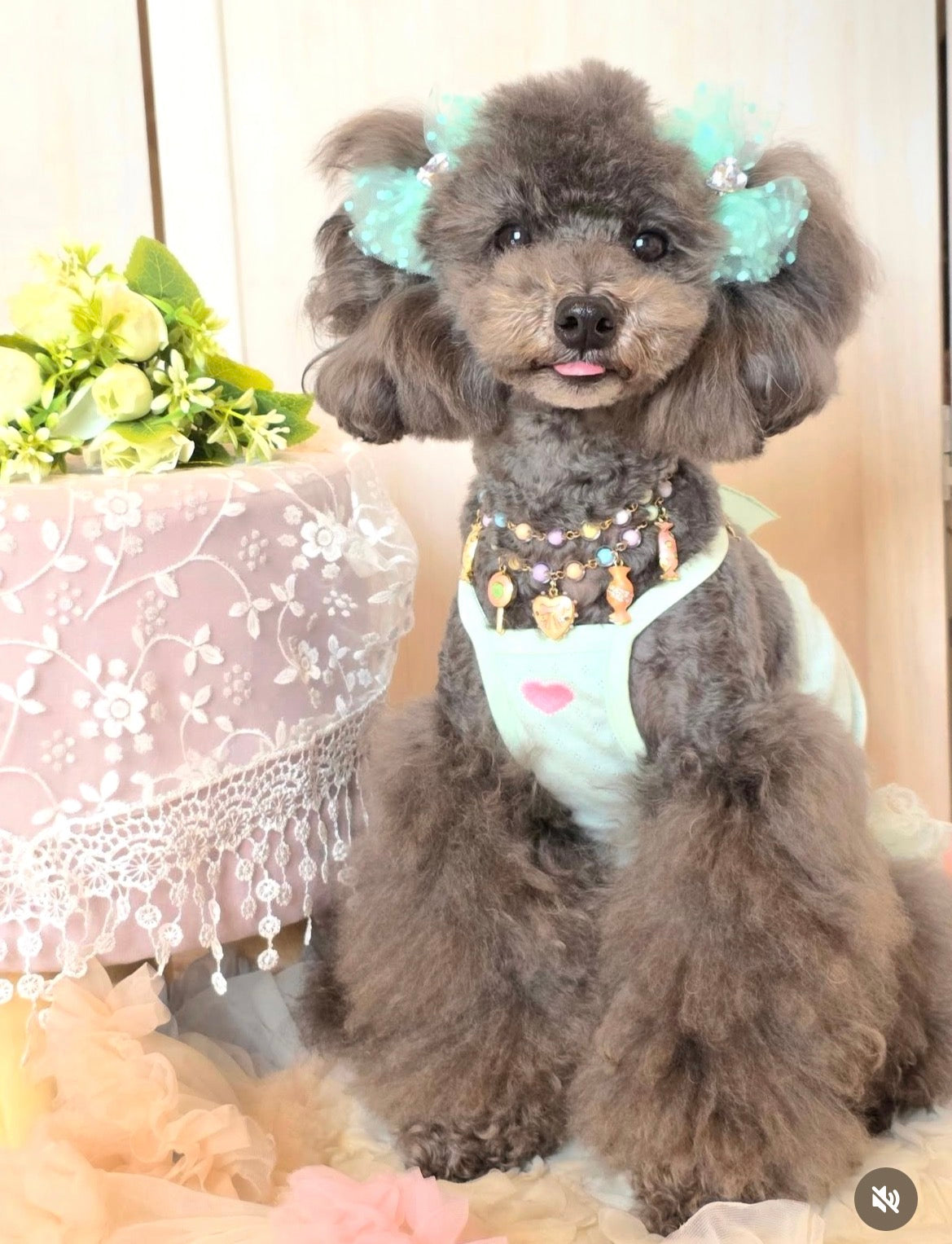 Mint Sorbet（ミントソルベ）犬用プラバレッタ CandyBowPet