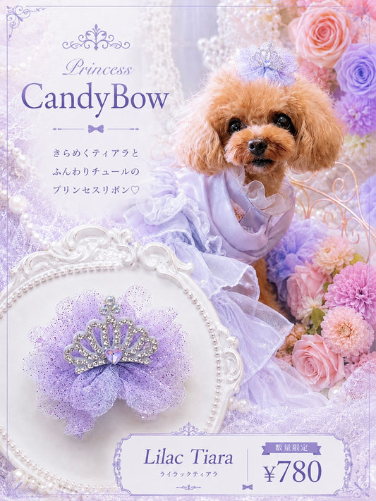 【CB260519】💜 Lilac Tiara Plastic Barrette