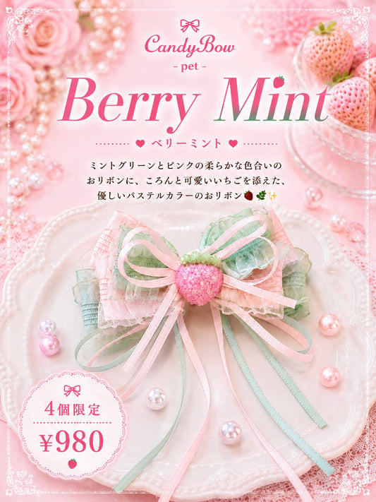 Berry Mint（ベリーミント）犬用プラバレッタ CandyBowPet