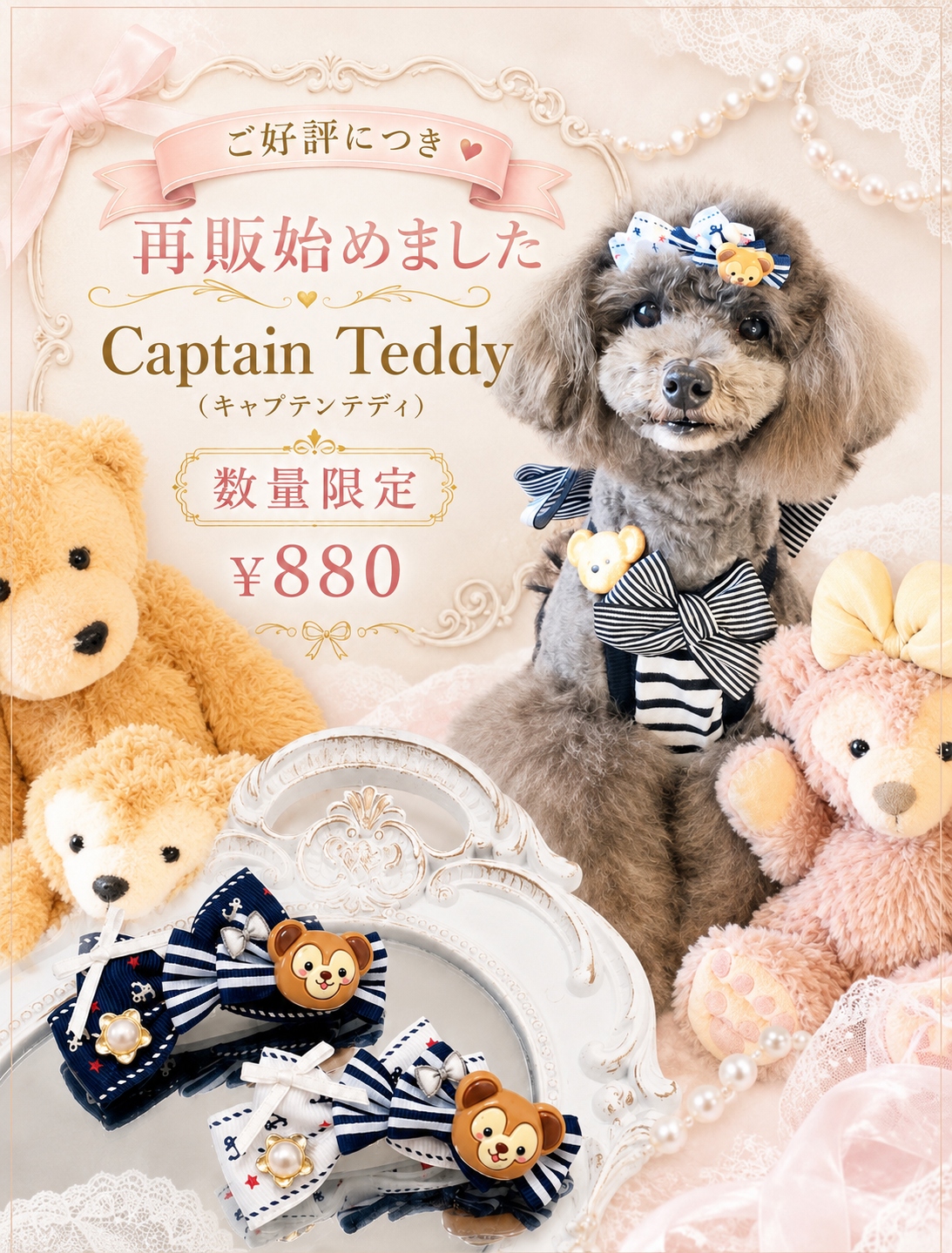 【再販】🐻 Captain Teddy（キャプテンテディ）