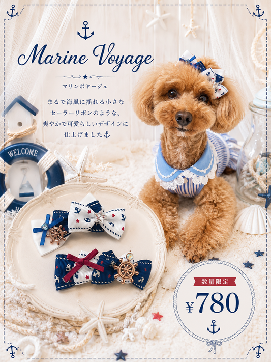 【CB260620】⚓ Marine Voyage